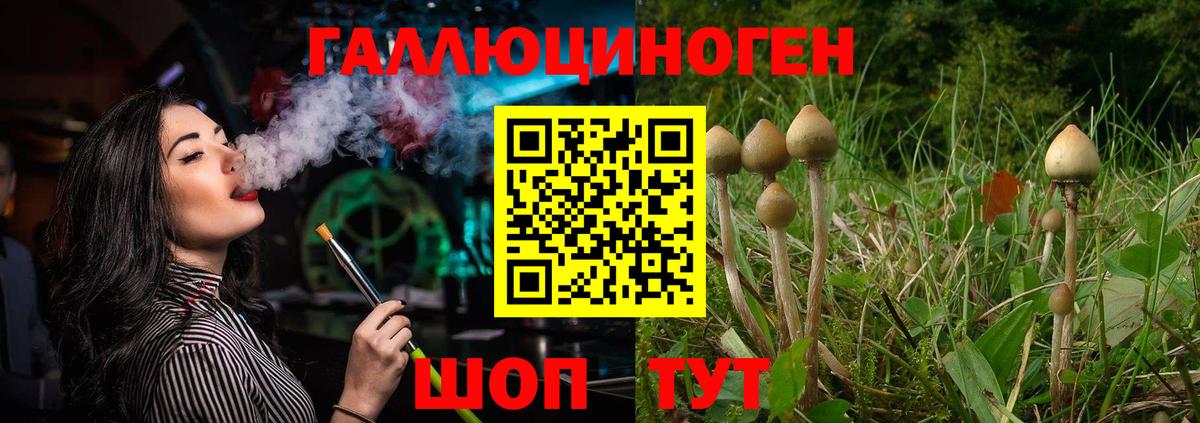 Псилоцибиновые грибы Psilocybe  Вход с VPN  Видное 