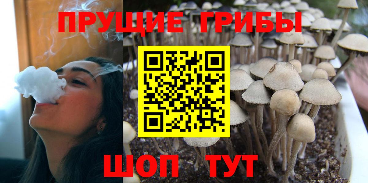 Галлюциногенные грибы Cubensis Видное